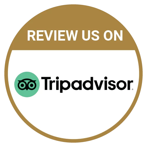 Review_Tripadvisor